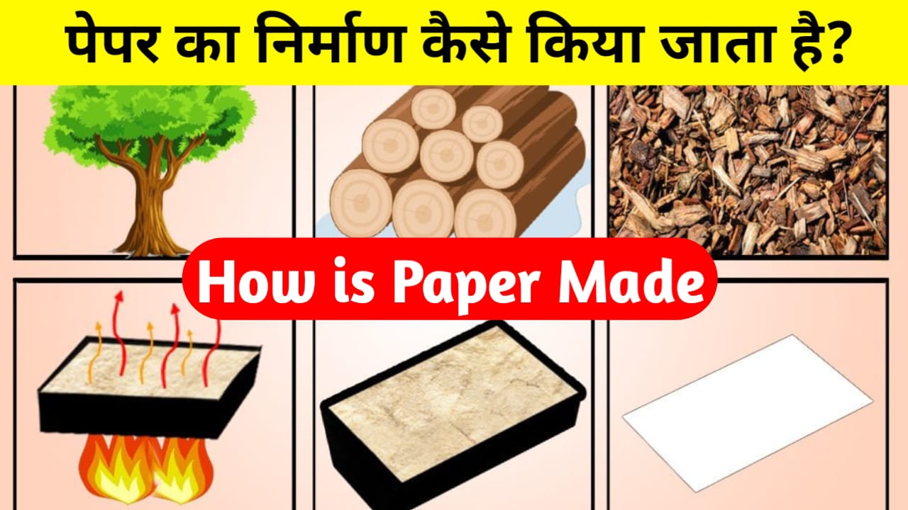 How is Paper Made: किताब बनने वाली कागज कैसे बनती है जानकर हैरान रह जाएंगे